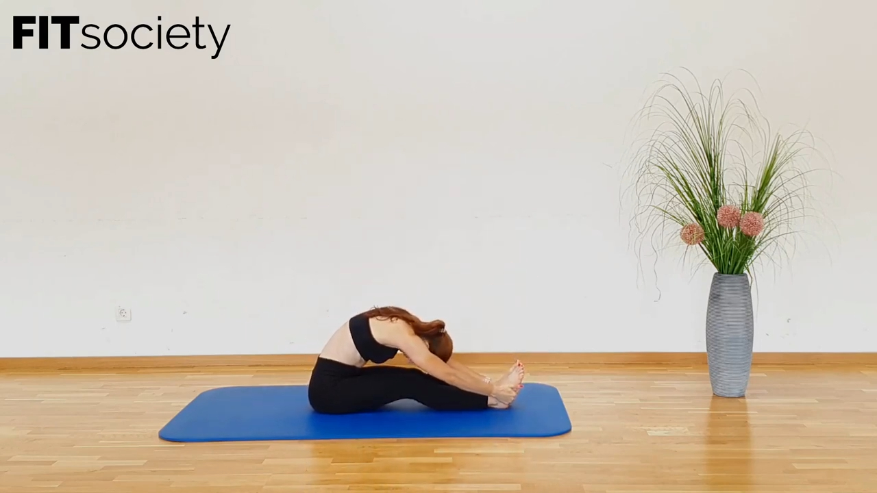 Seated Hamstring Stretch