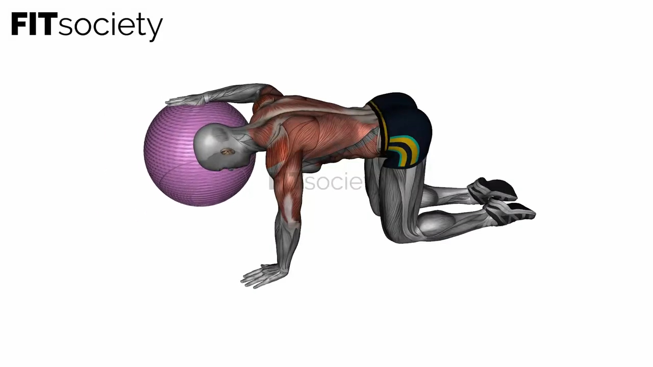 Exercise Ball Lat Stretch