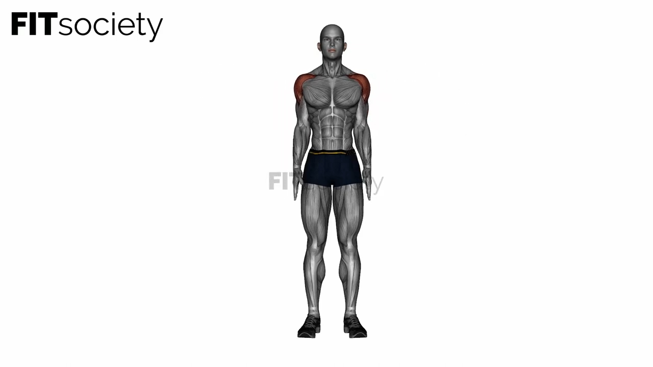 Lateral Raise Bodyweight