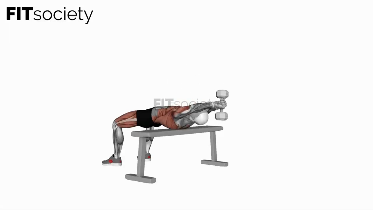 Dumbbell Pullover