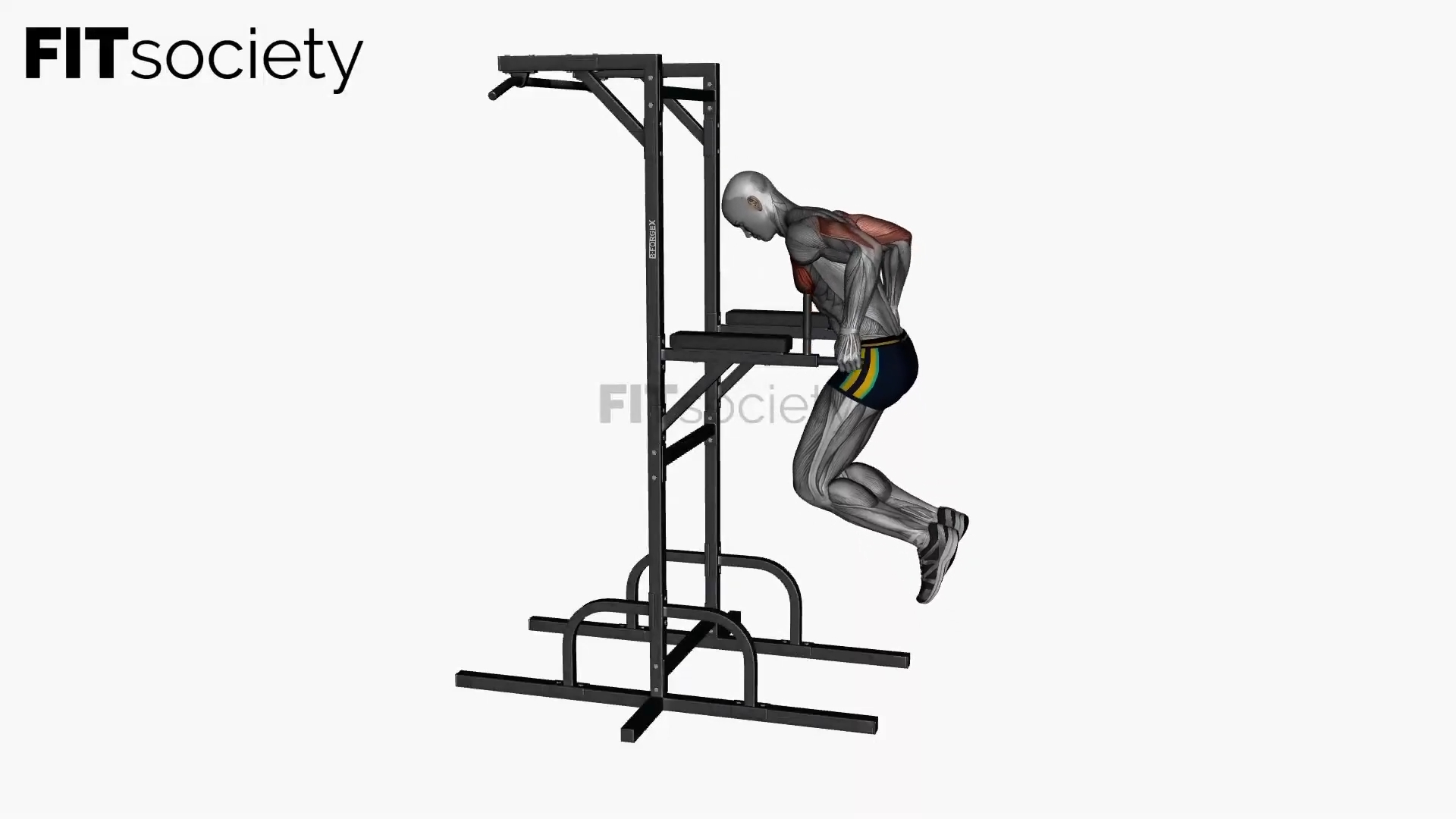 Chest Dip With Pause Bodyweight