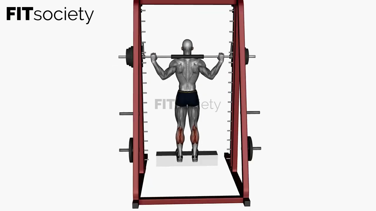 Smith Machine Calf Raise