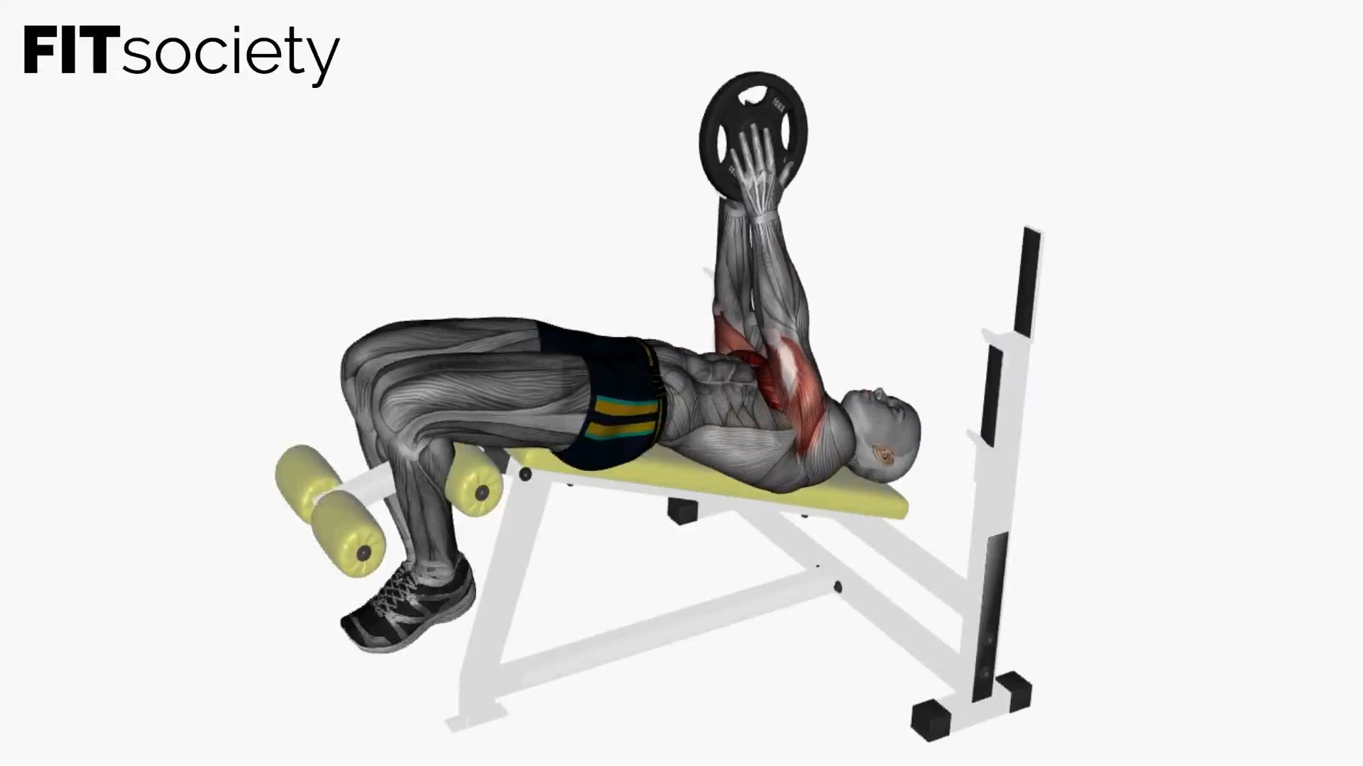Svend Press Decline Bench
