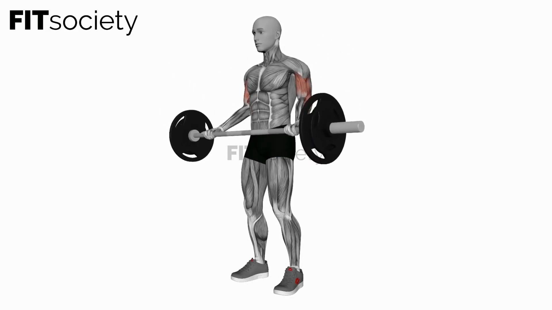 Barbell Wide-Grip Biceps Curl