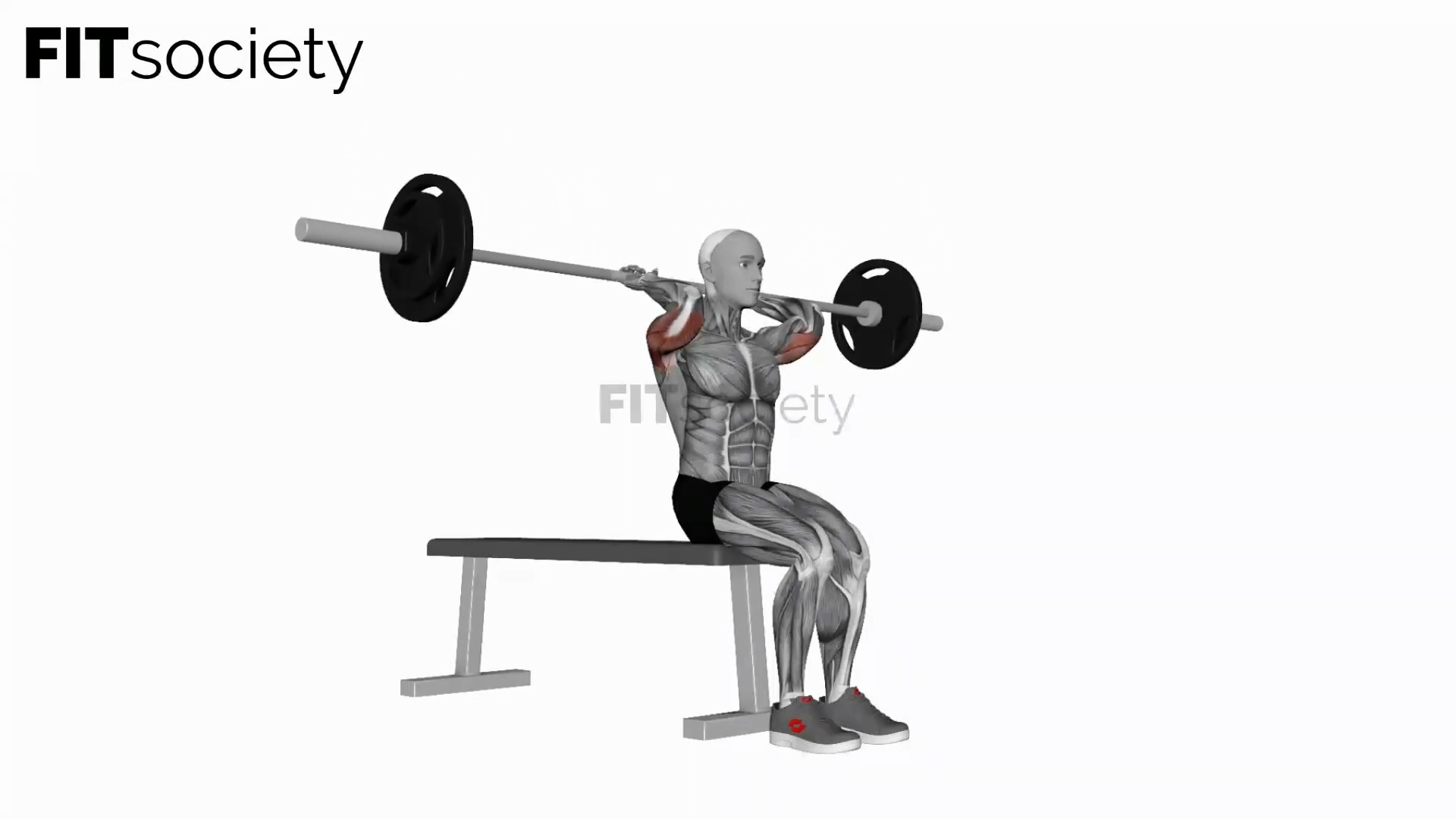Barbell Seated Overhead Triceps Press