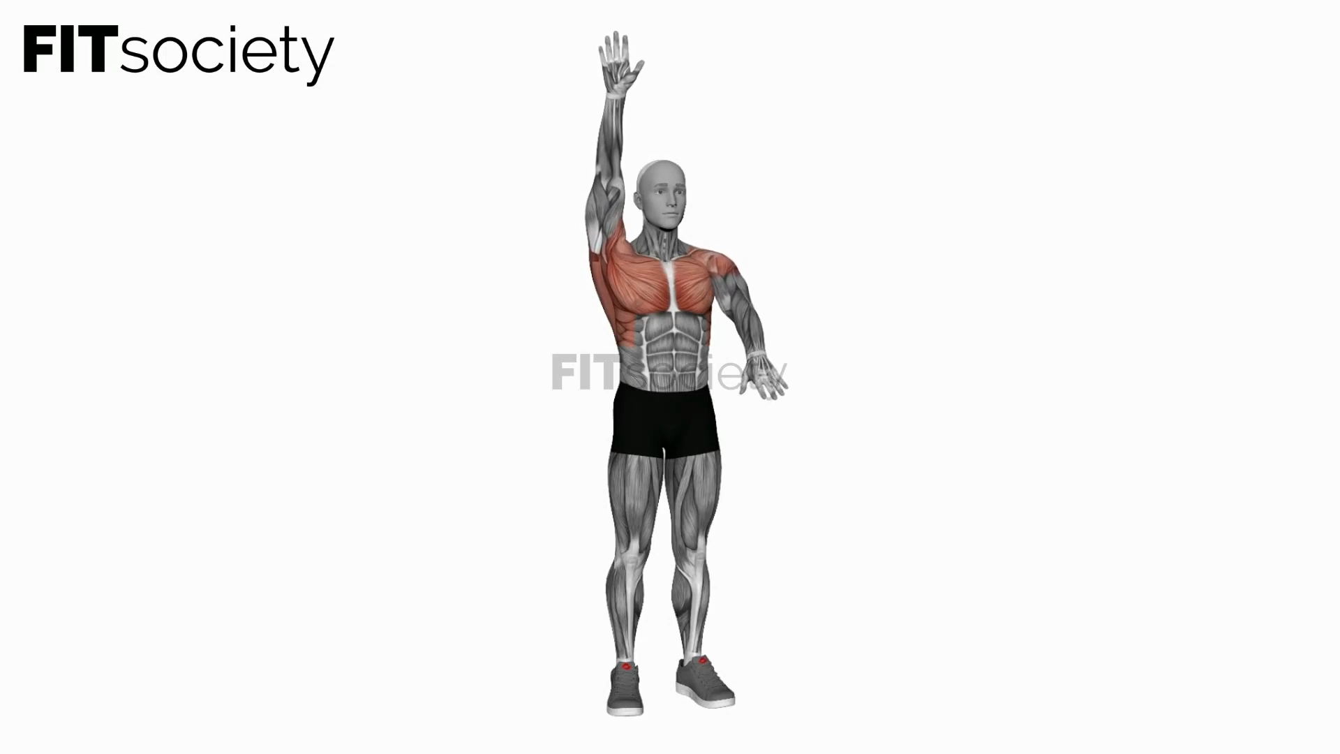 Arms Up And Down
