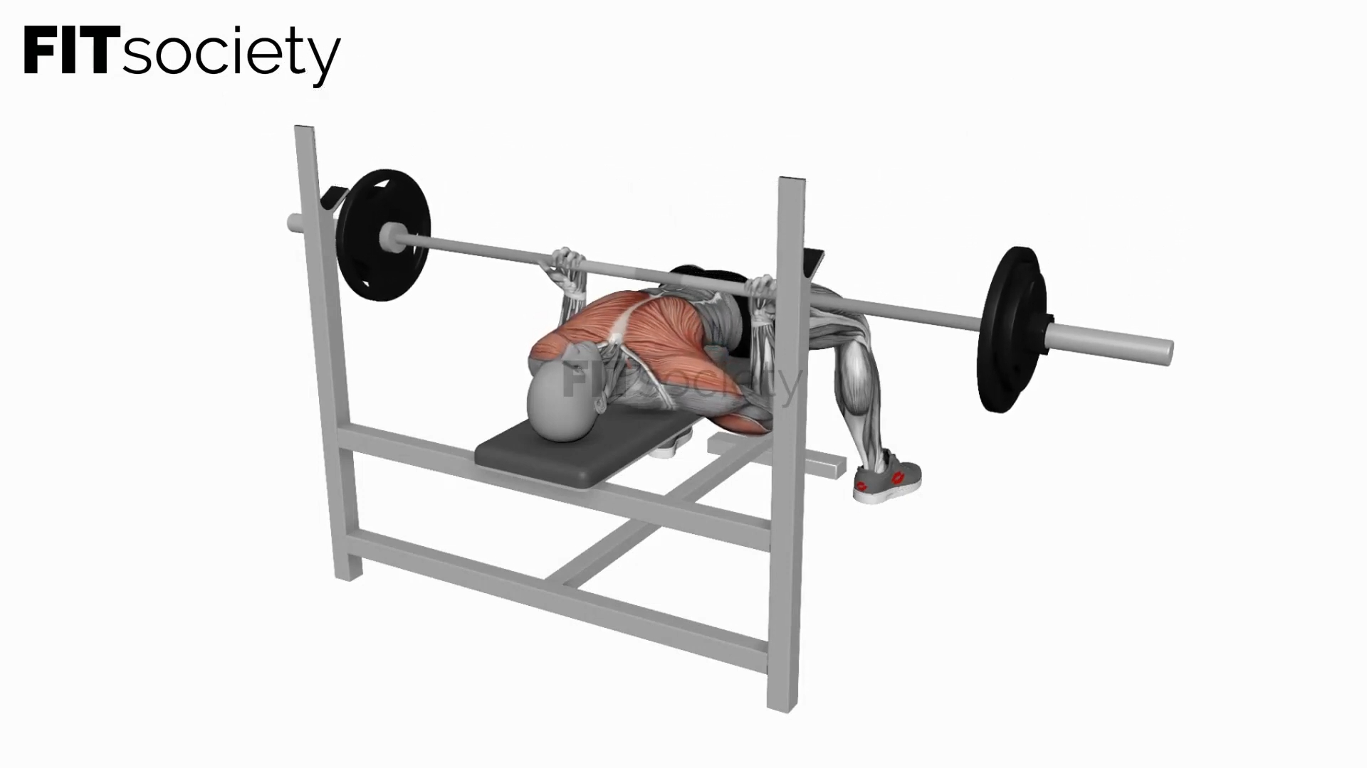 Barbell Reverse-Grip Bench Press