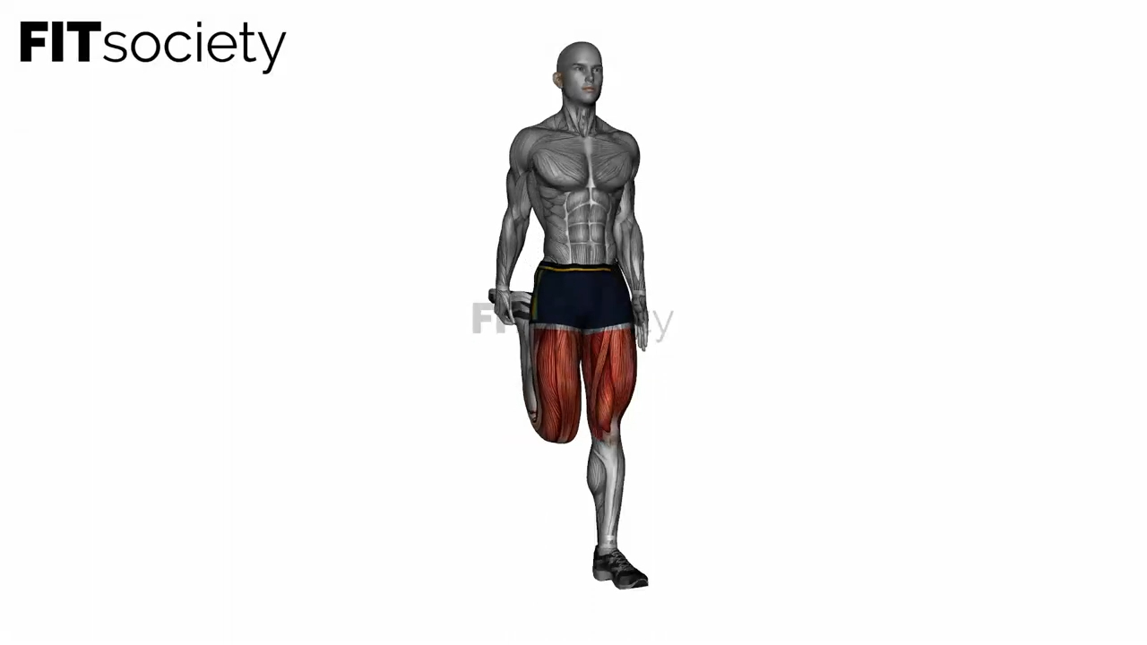 Standing Quadriceps Stretch