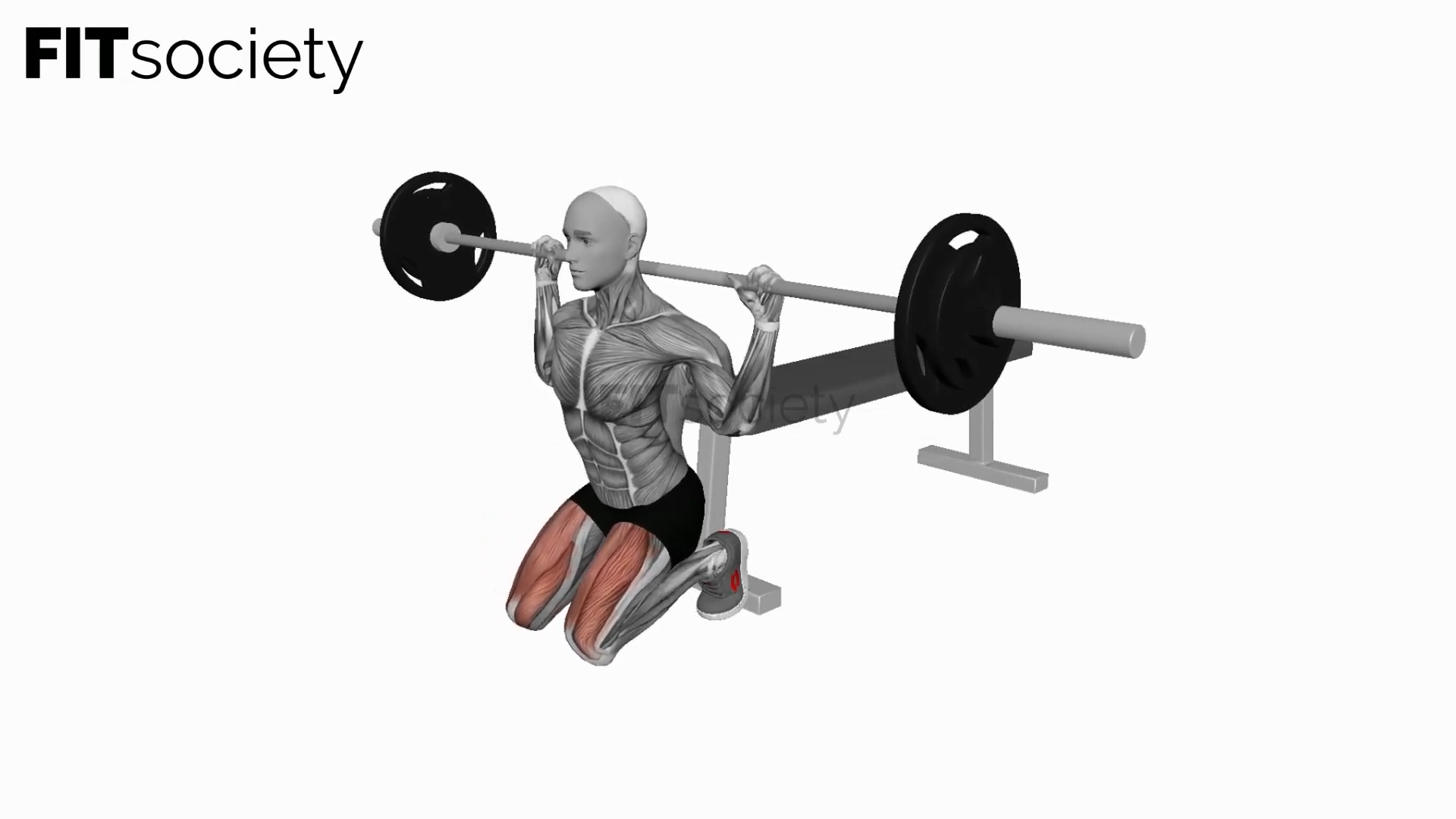 Barbell Kneeling Squat