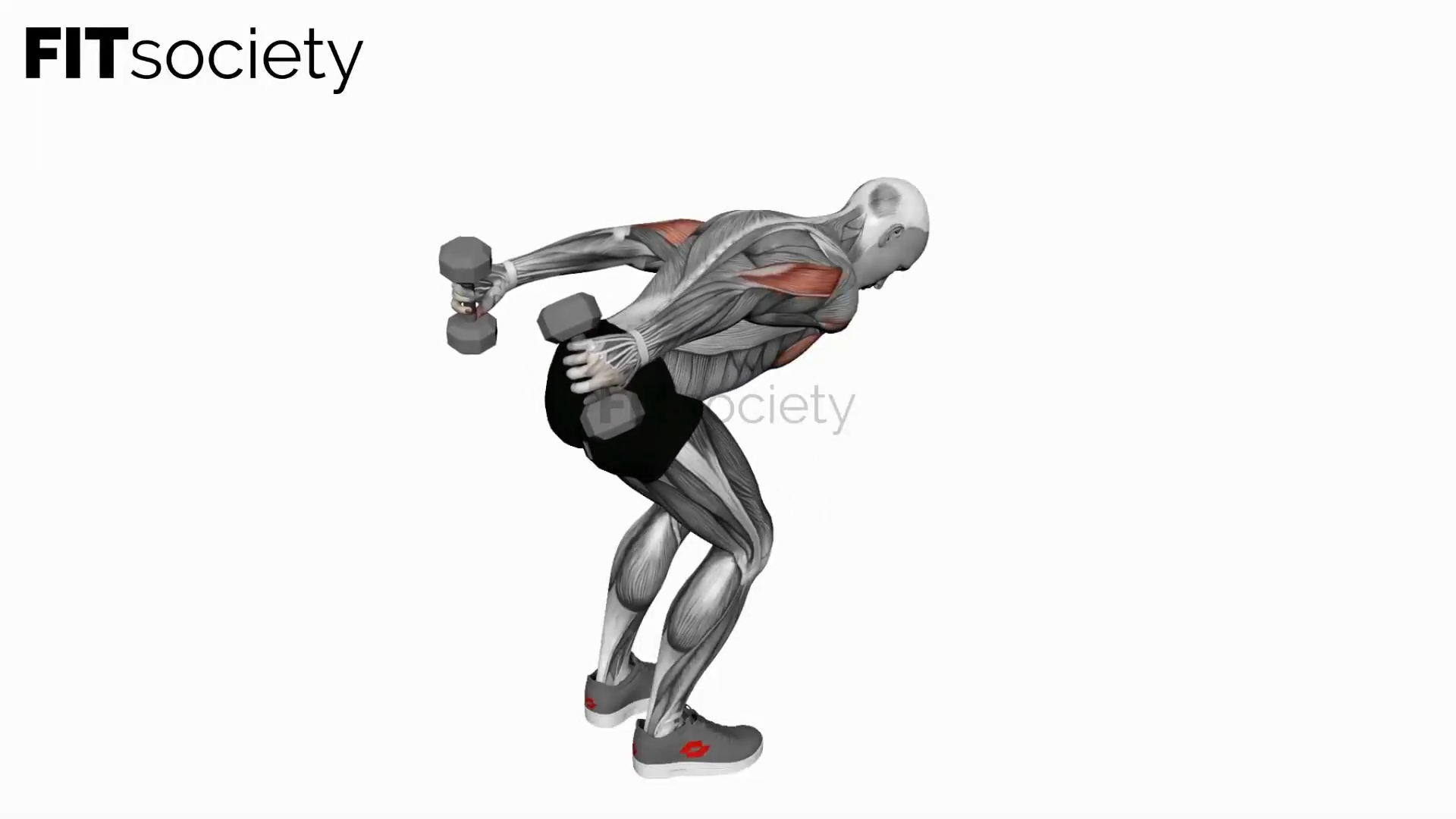 Dumbbell Standing Both Arms Kickback