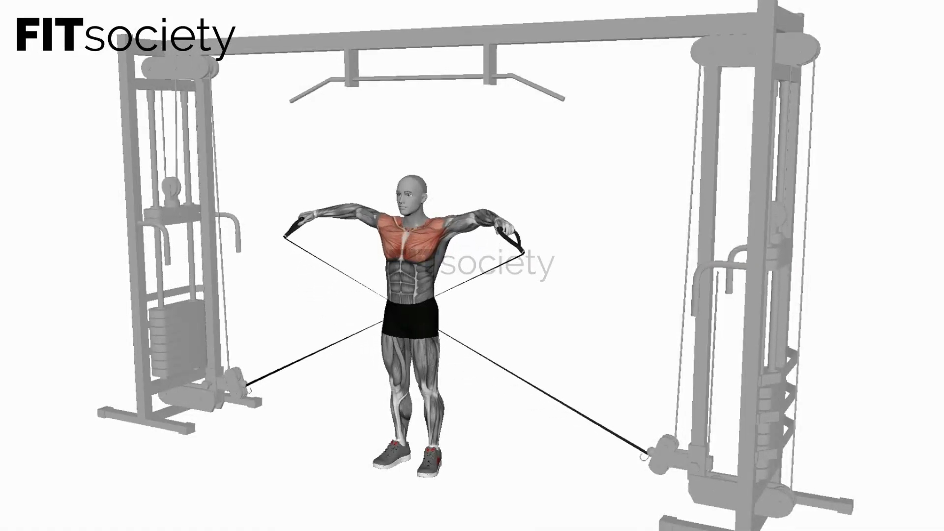 Cable Lateral Raise