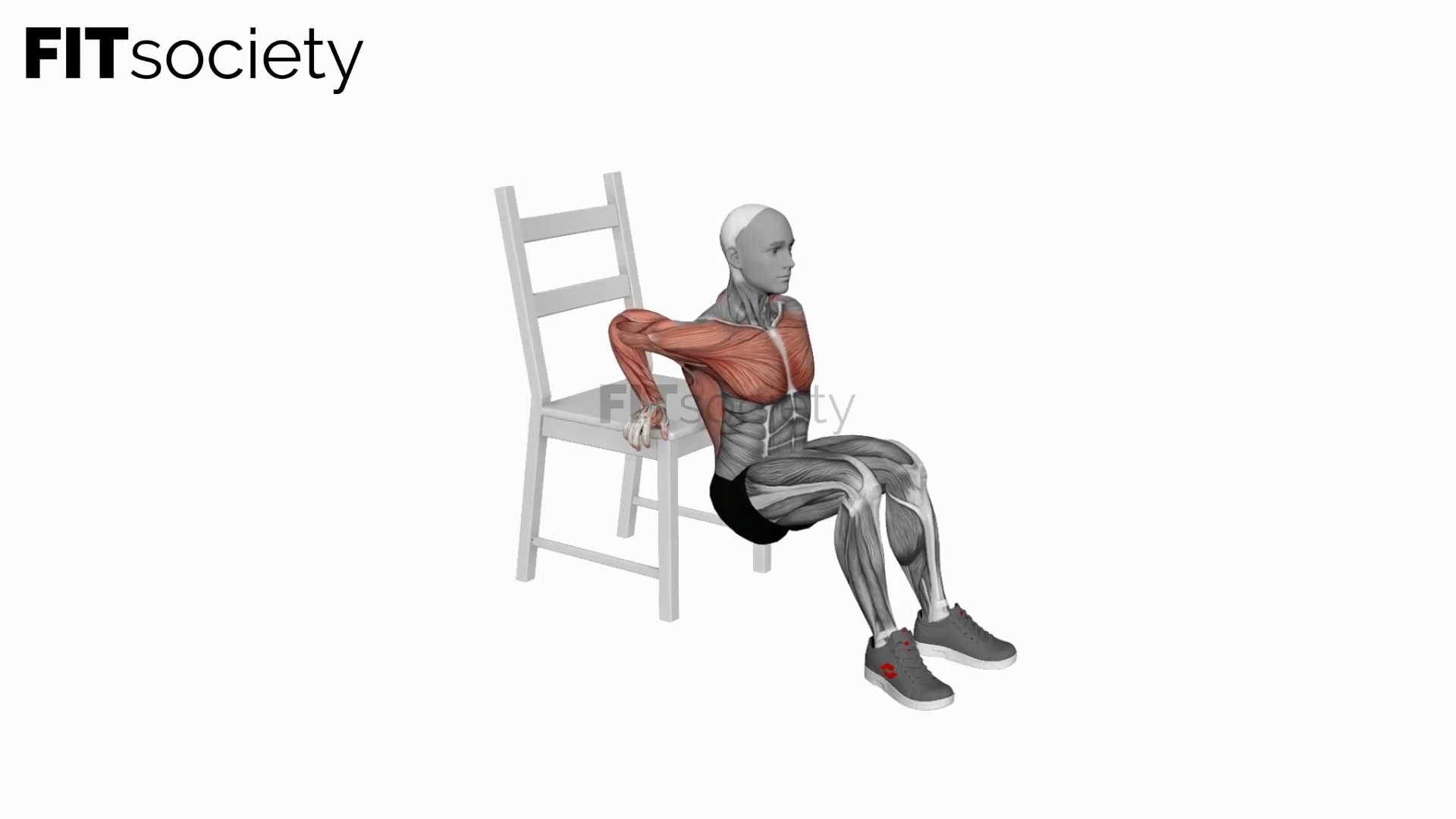 Dip On Floor With Chair