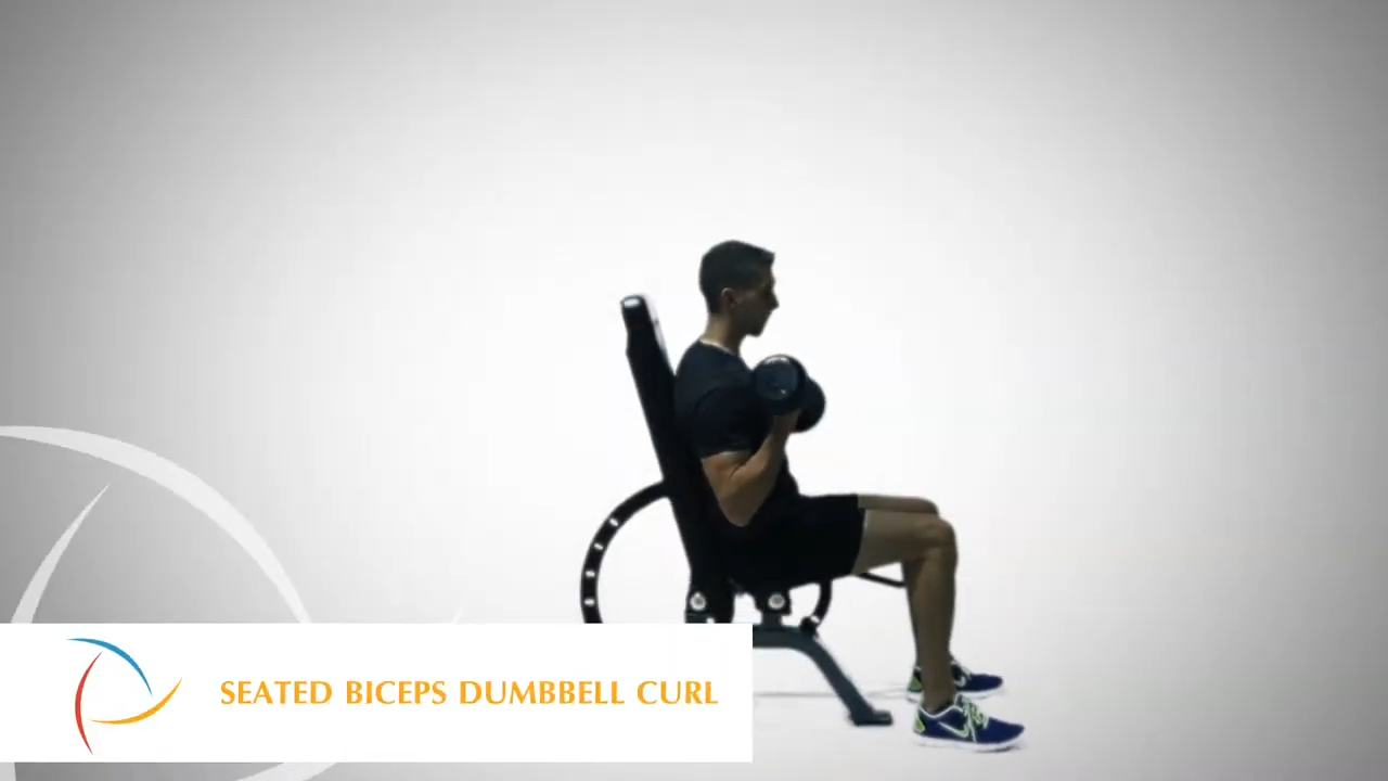 Seated Biceps Dumbbell Curl