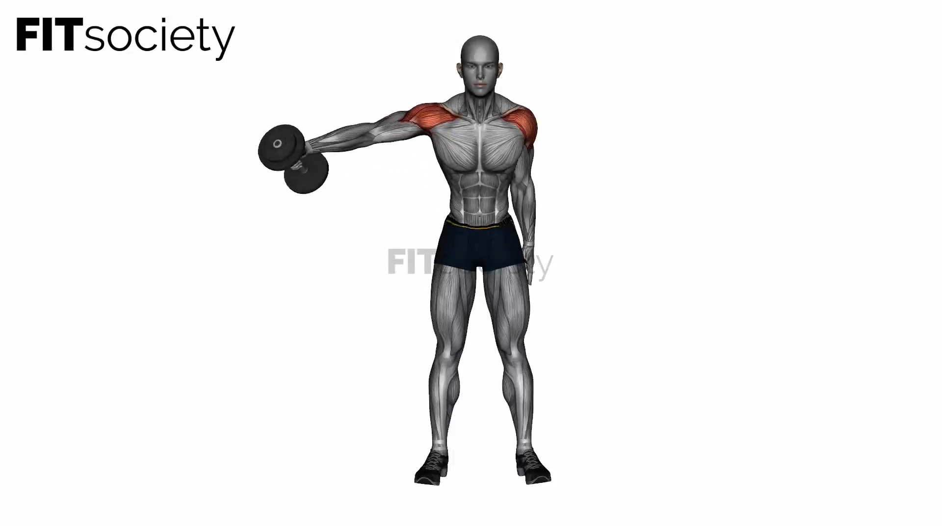 Dumbbell One Arm Lateral Raises