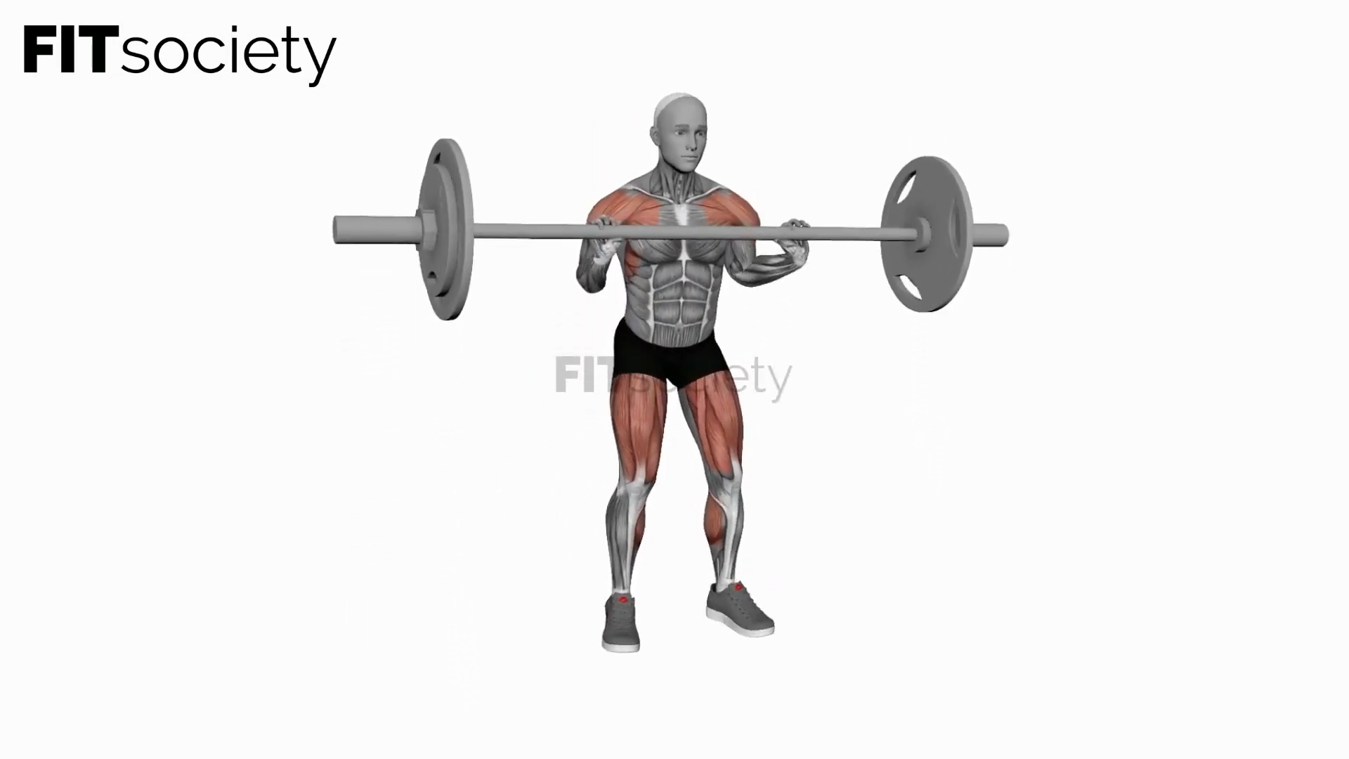Barbell Full Clean