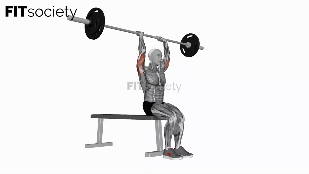 Barbell Seated Overhead Triceps Press