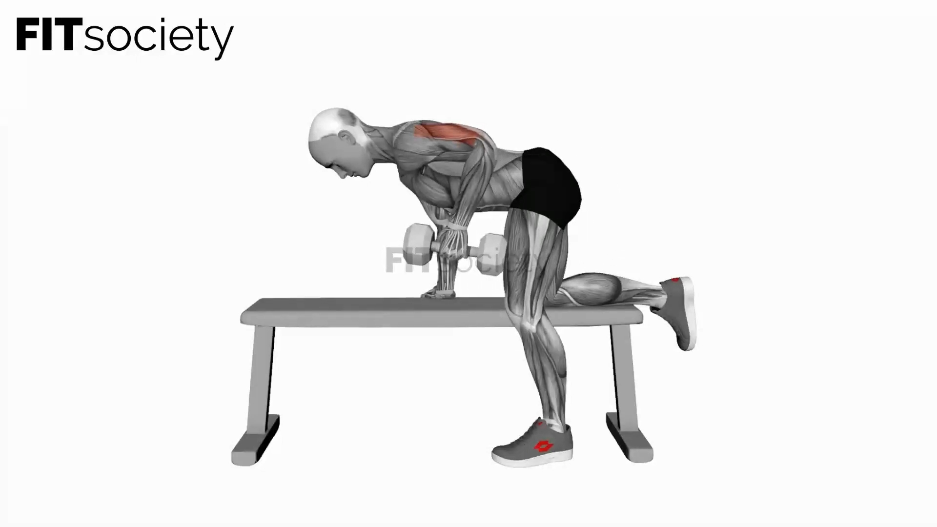Dumbbell Kickback