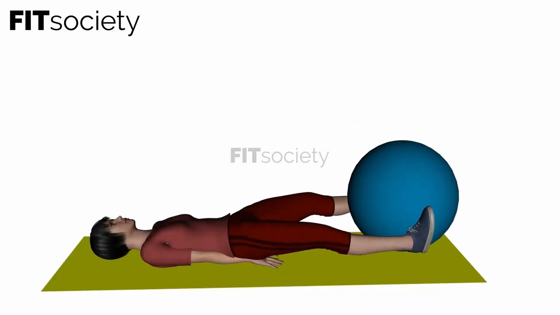 Leg Lifts Swiss Ball