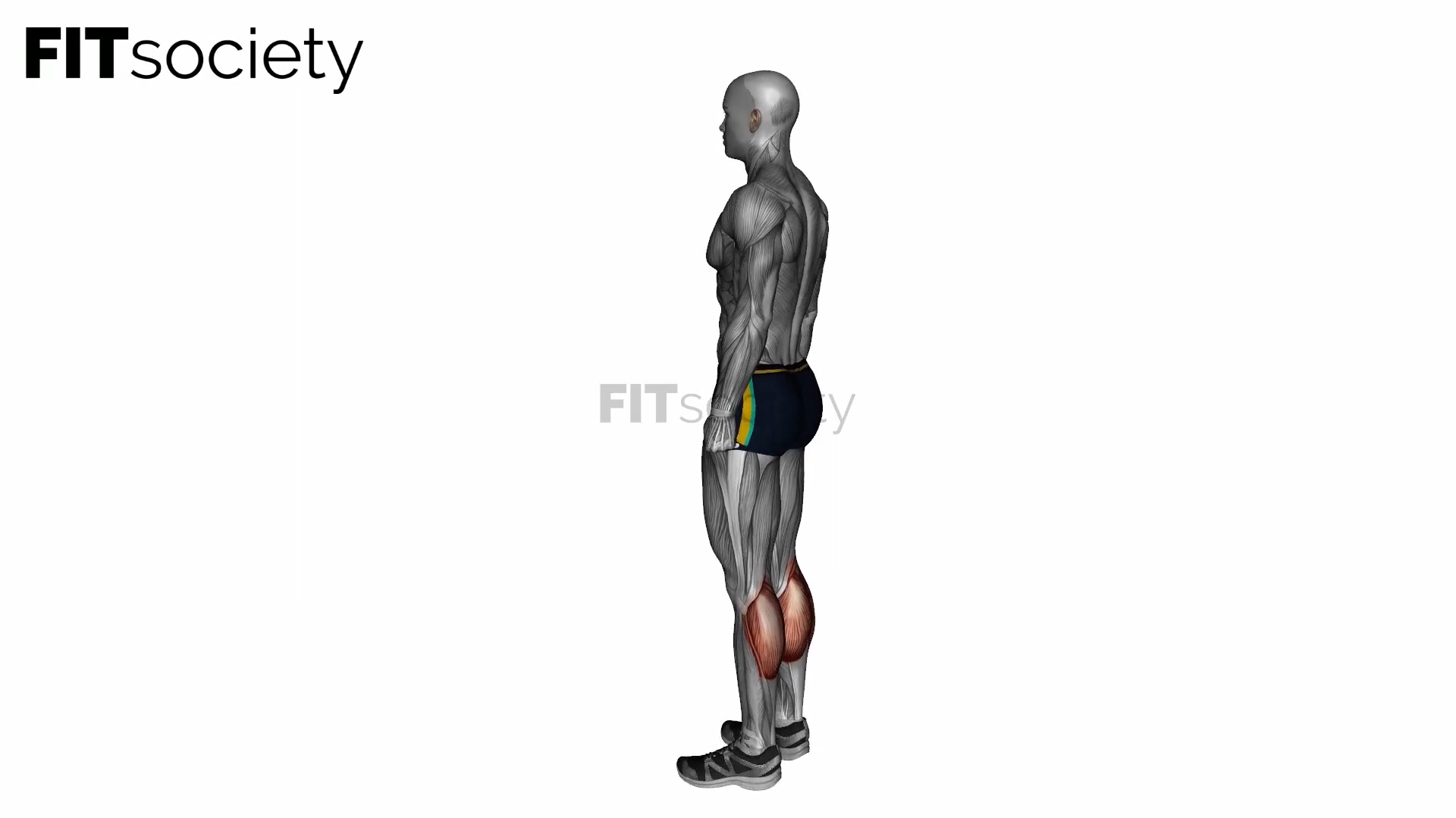 Bodyweight Calf Raises