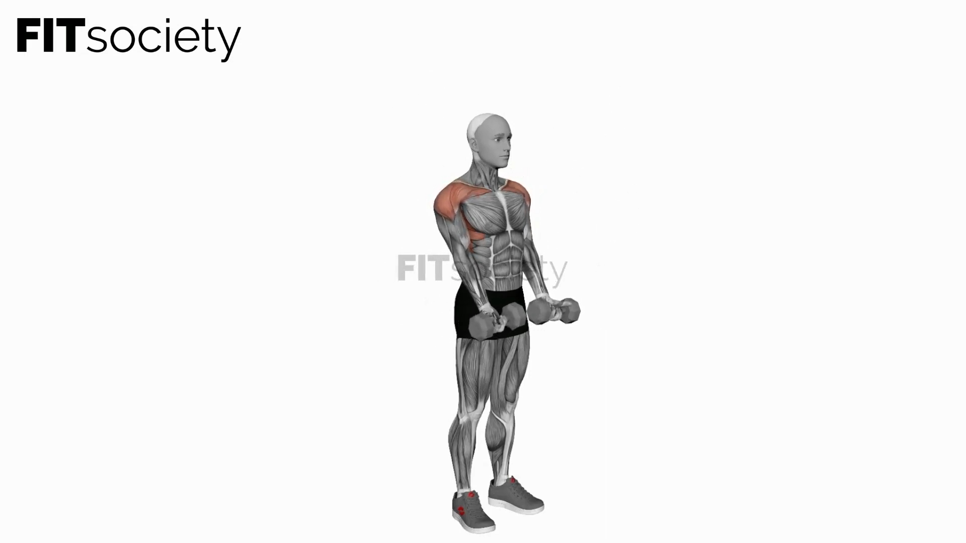 Dumbbell Standing Around the World