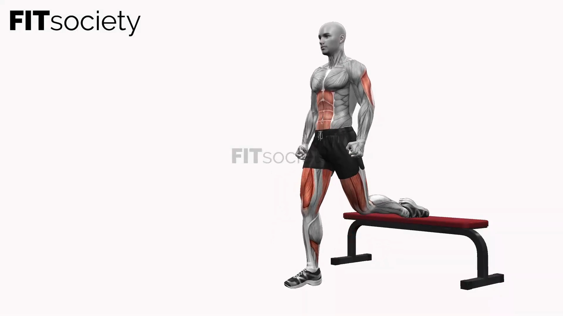 Bench Bulgarian Split Squats Right