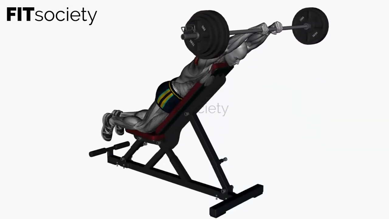 Prone Front Raises Barbell On Bench