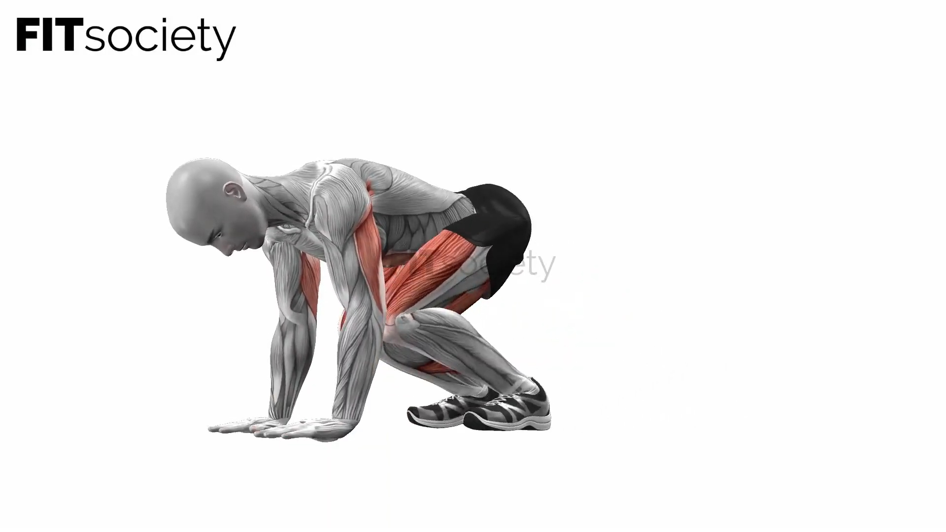Plank Knee Tucks