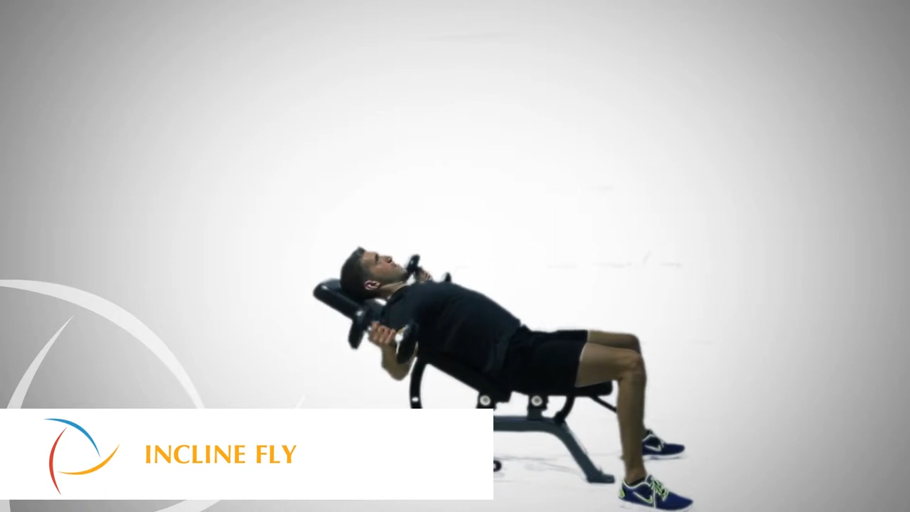 Dumbbell Fly