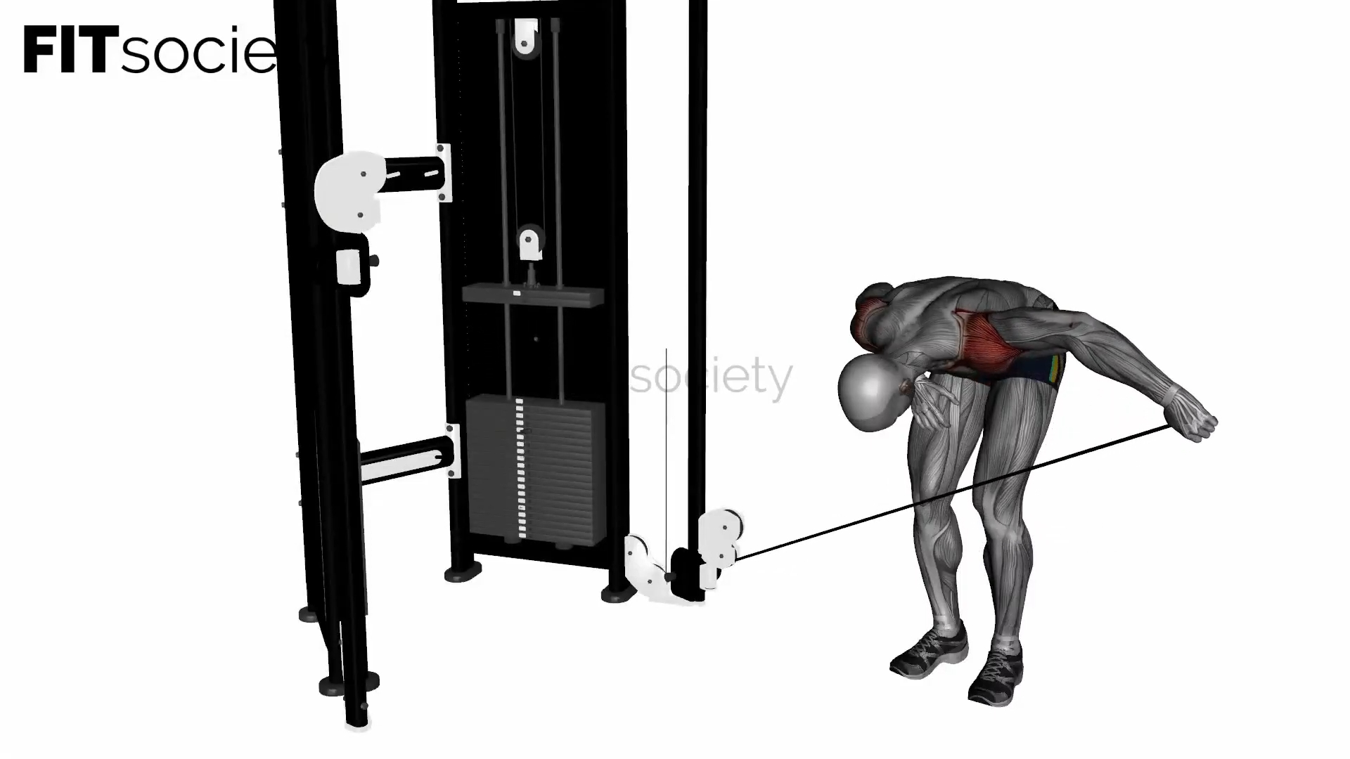 Single-Arm Cable Bent-Over Lateral Raise