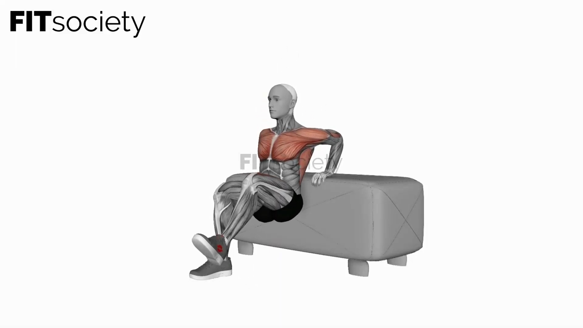 Dip Leg Raise on Bench