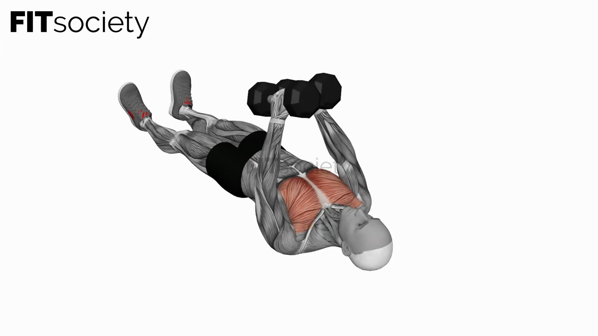 Dumbbell Floor Fly