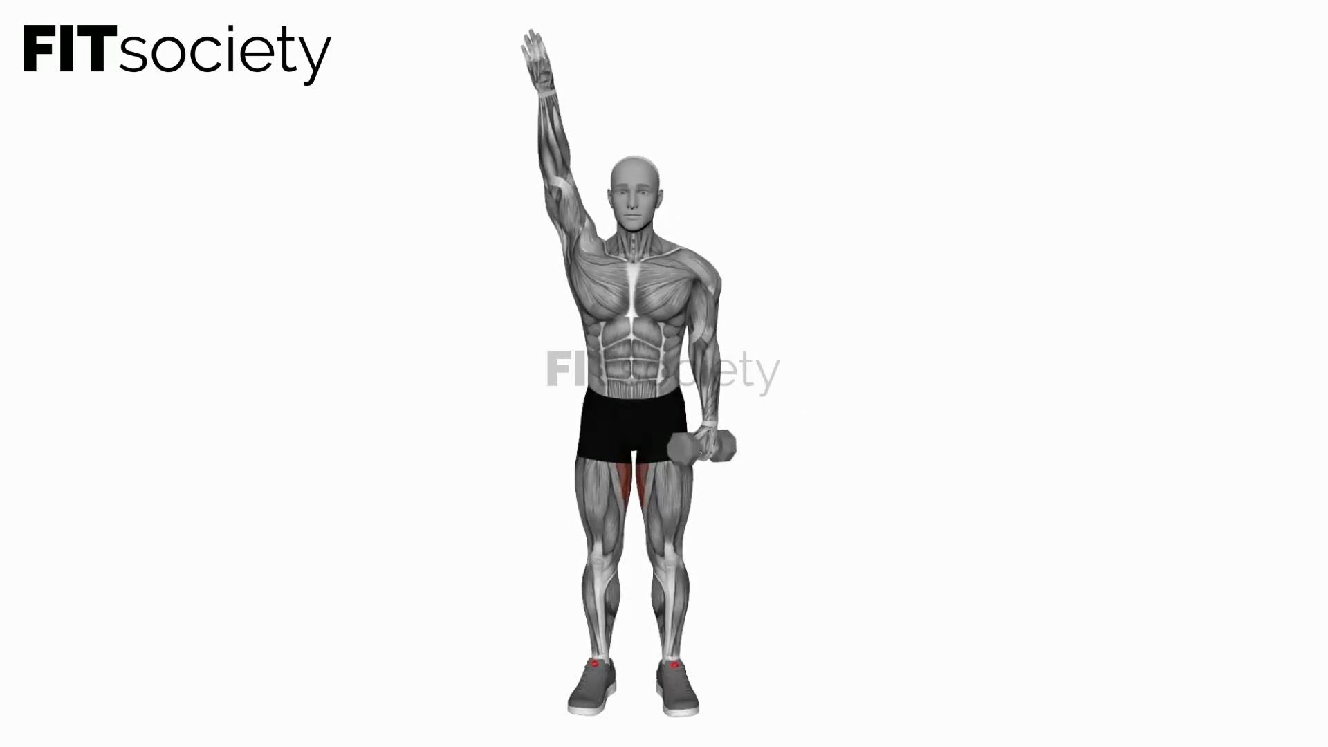 Dumbbell Low Windmill