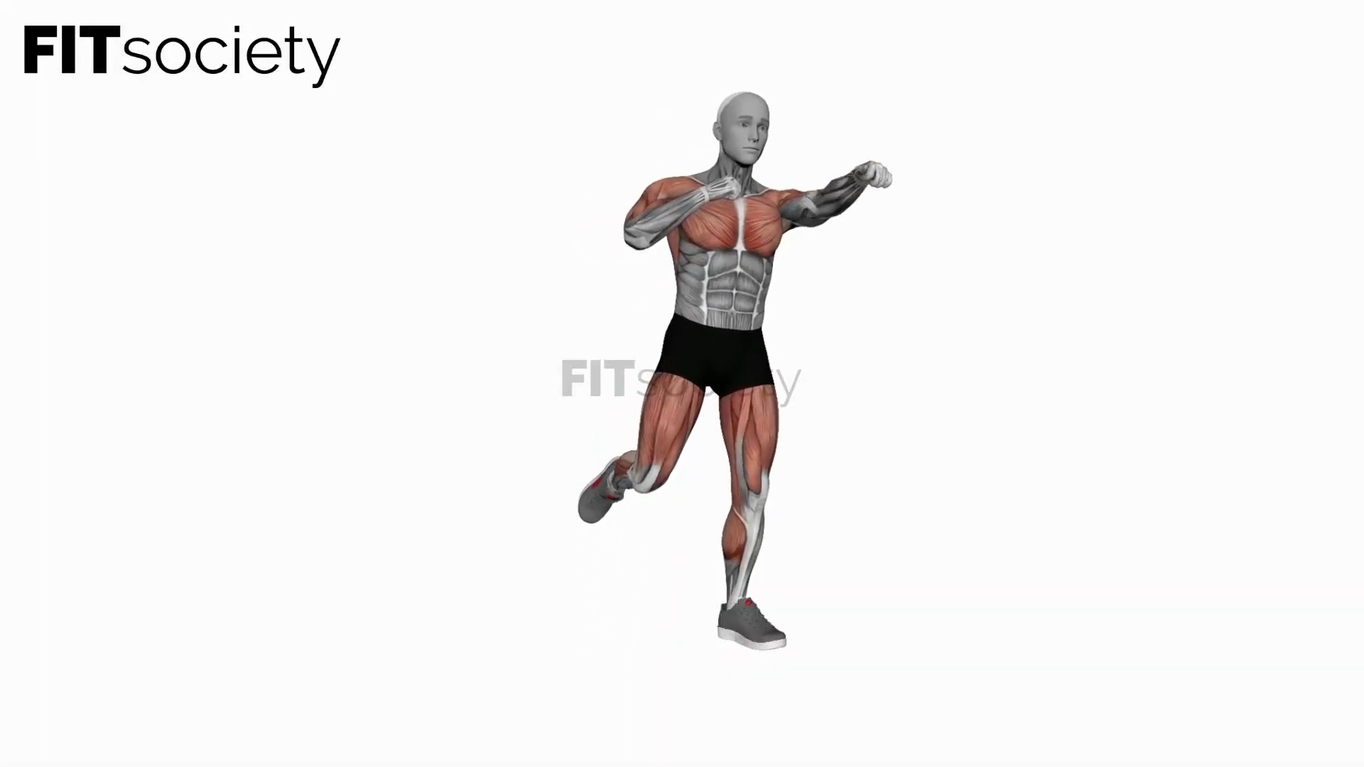 Leg Curl ischio-jambiers alterné avec coups de poing
