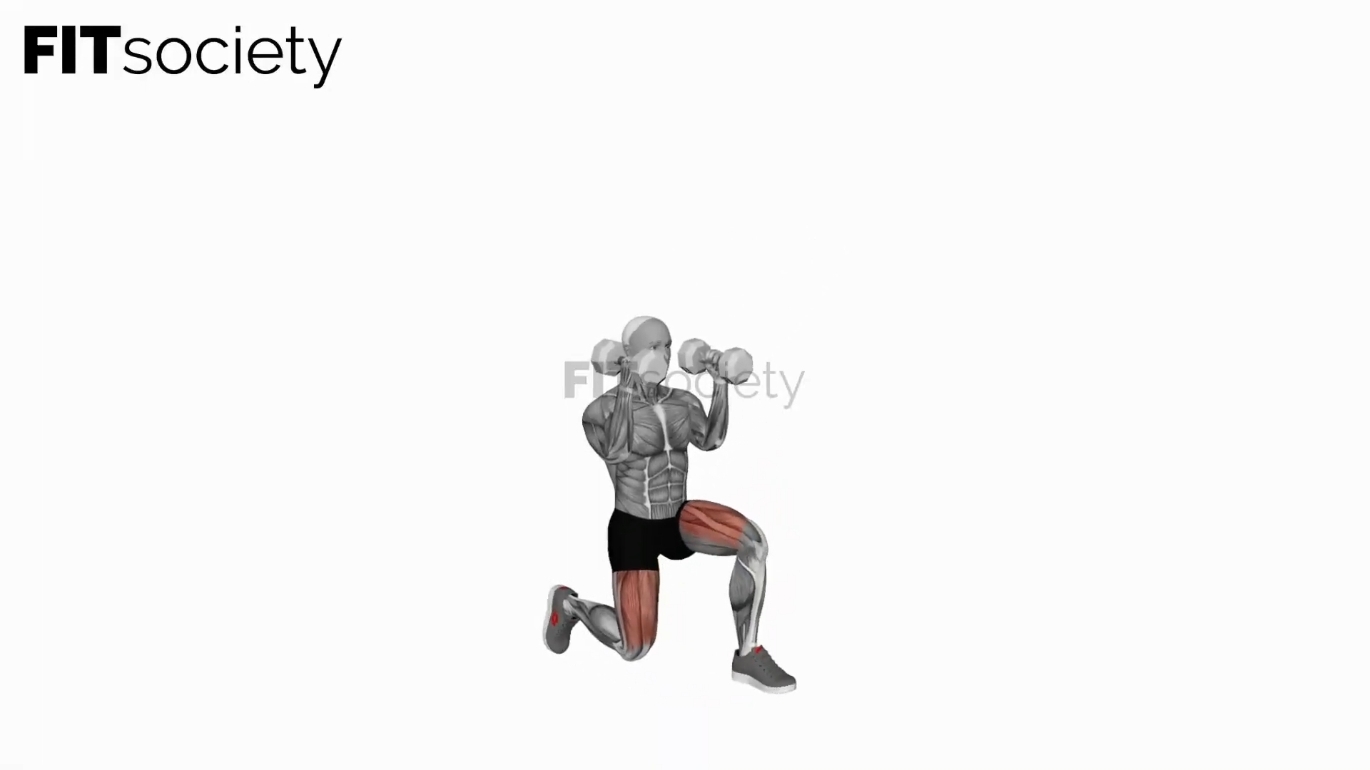 Dumbbell Kneeling Hold To Stand Clean Grip