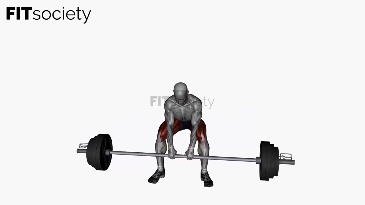 Barbell Sumo Deadlift