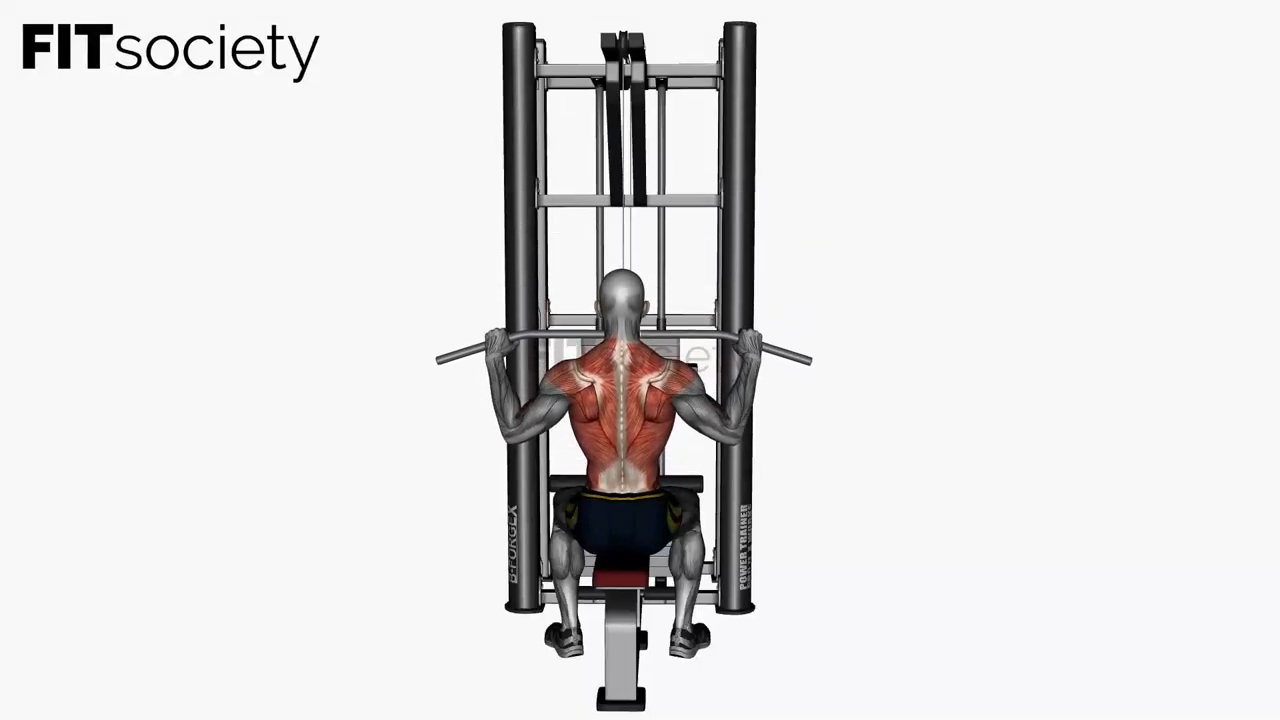 Lat Pull Down Normal Grip