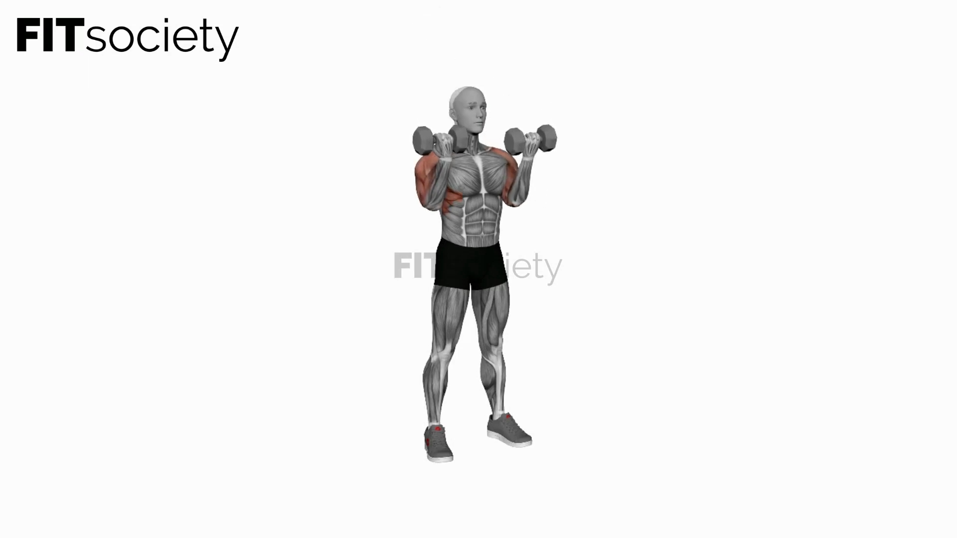 Dumbbell Curl Press Extension