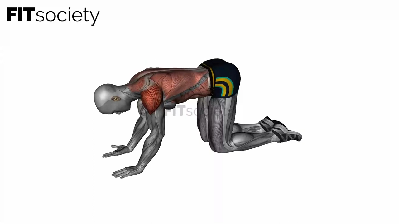 Kneeling Lat Floor Stretch