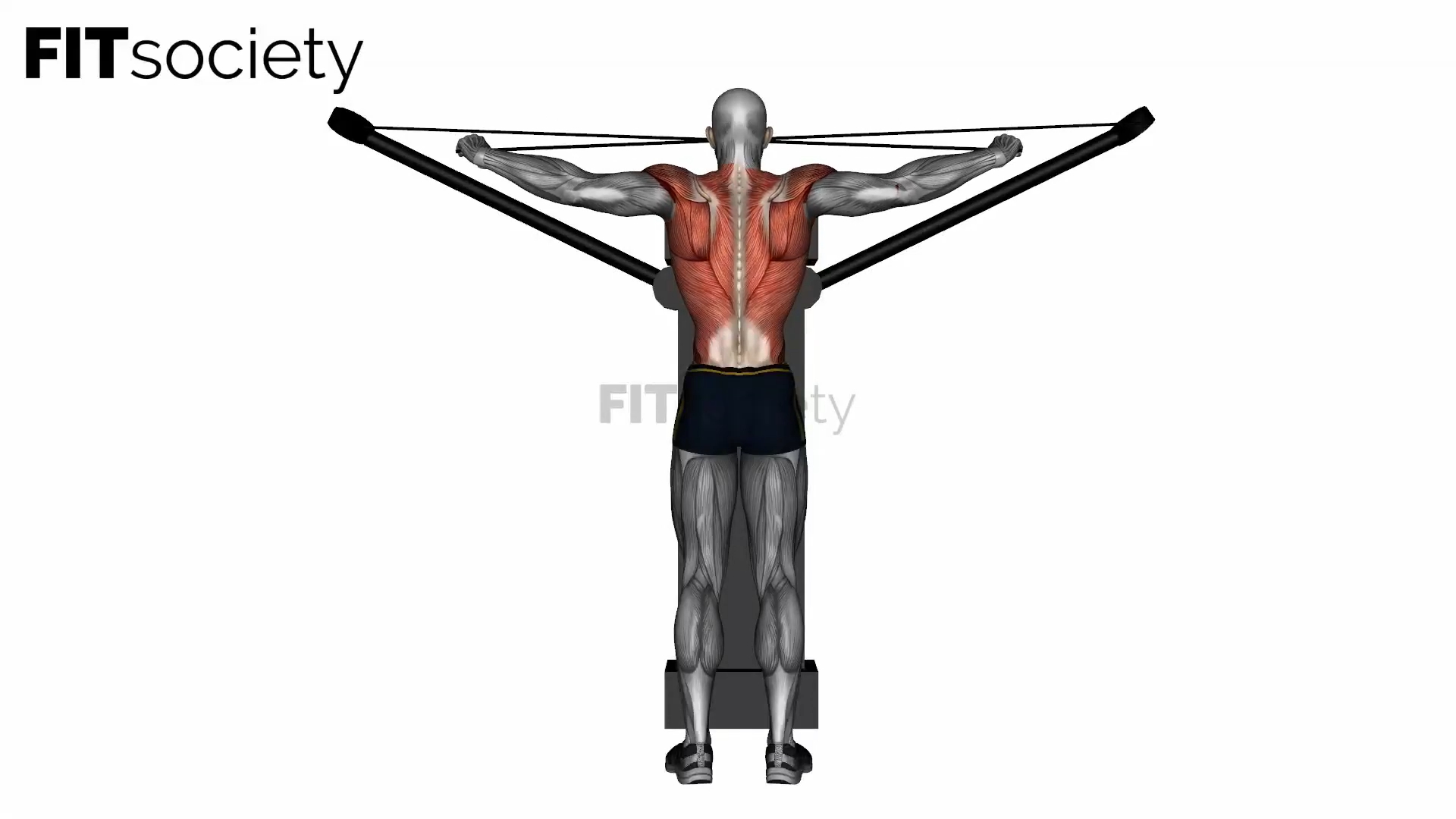 Reverse Cable Fly am Crossover