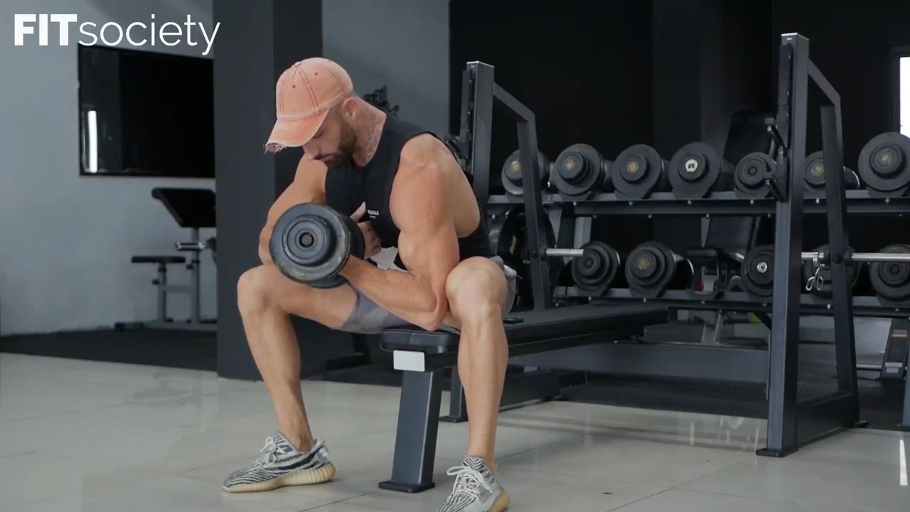 Seated Concentration Curls