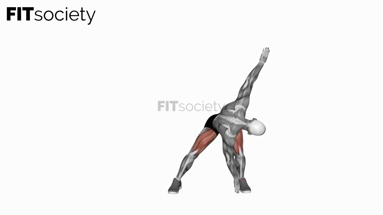 Diagonal Lunge