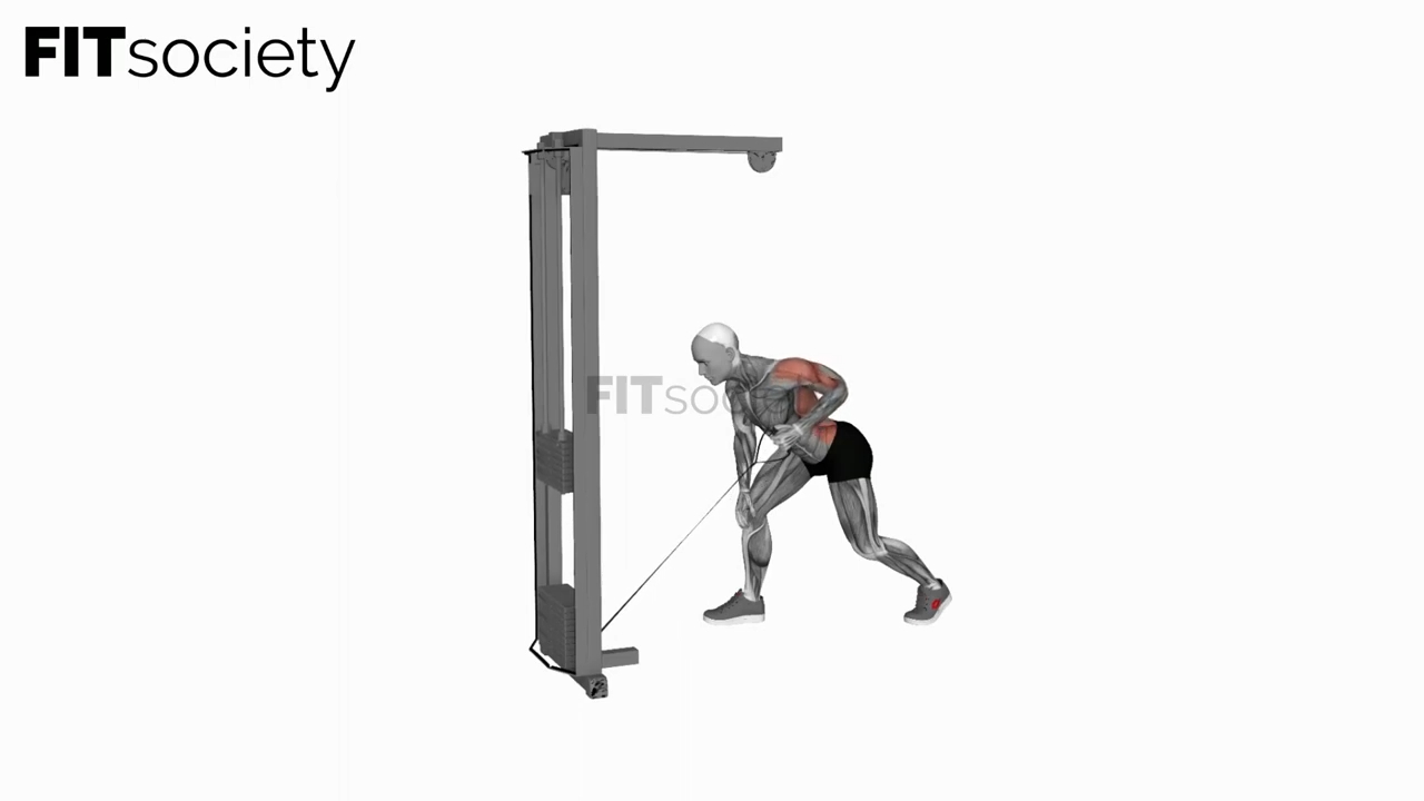Cable One Arm Bent Over Row