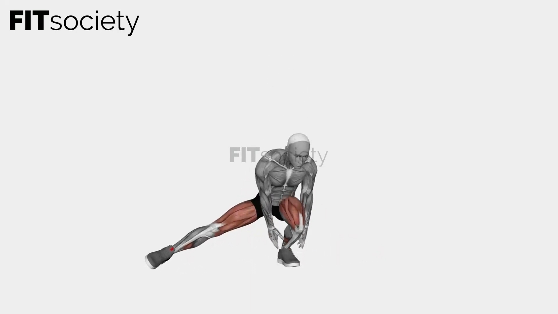 Alternate Heel Touch Side Kick Squat
