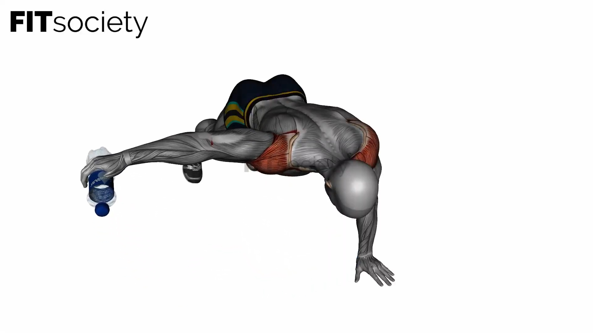 Plank Reverse Fly With Bottle