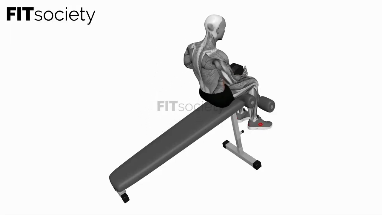 Dumbbell Decline Sit-Up