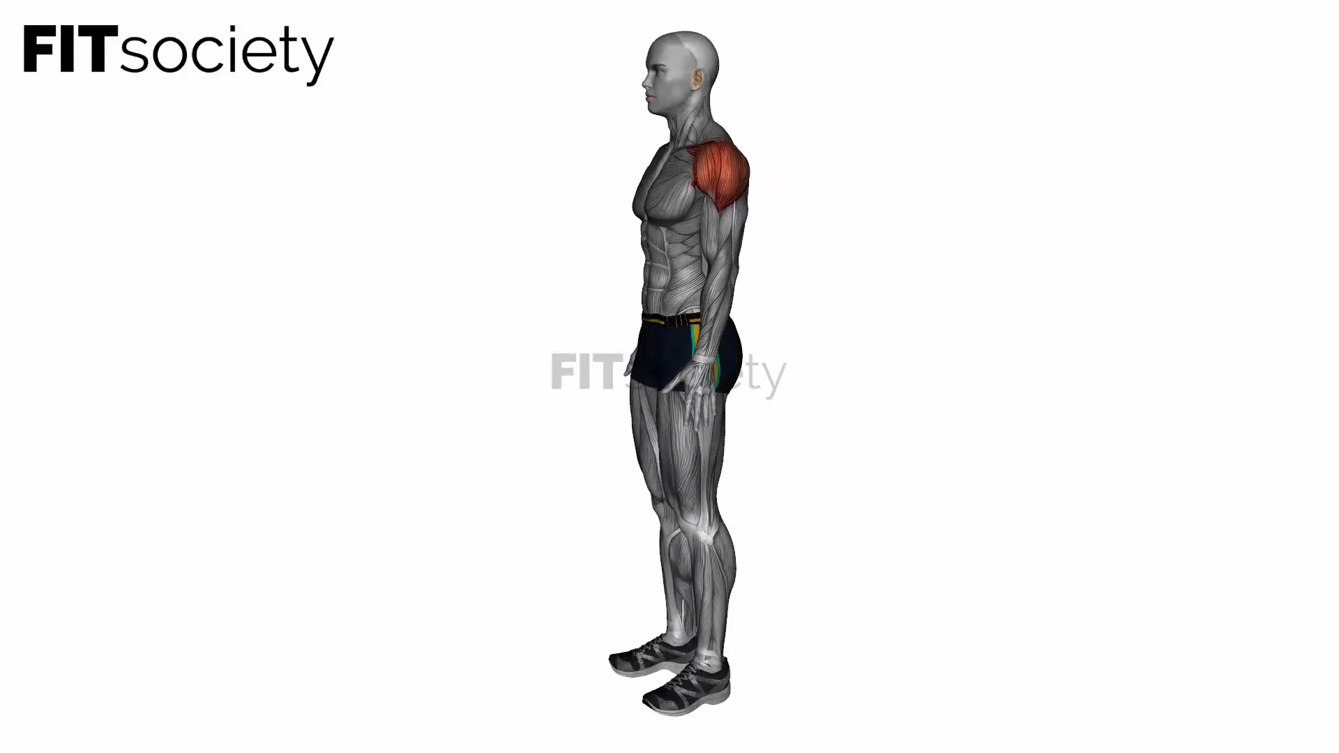 Standing Reverse Shoulder Stretch