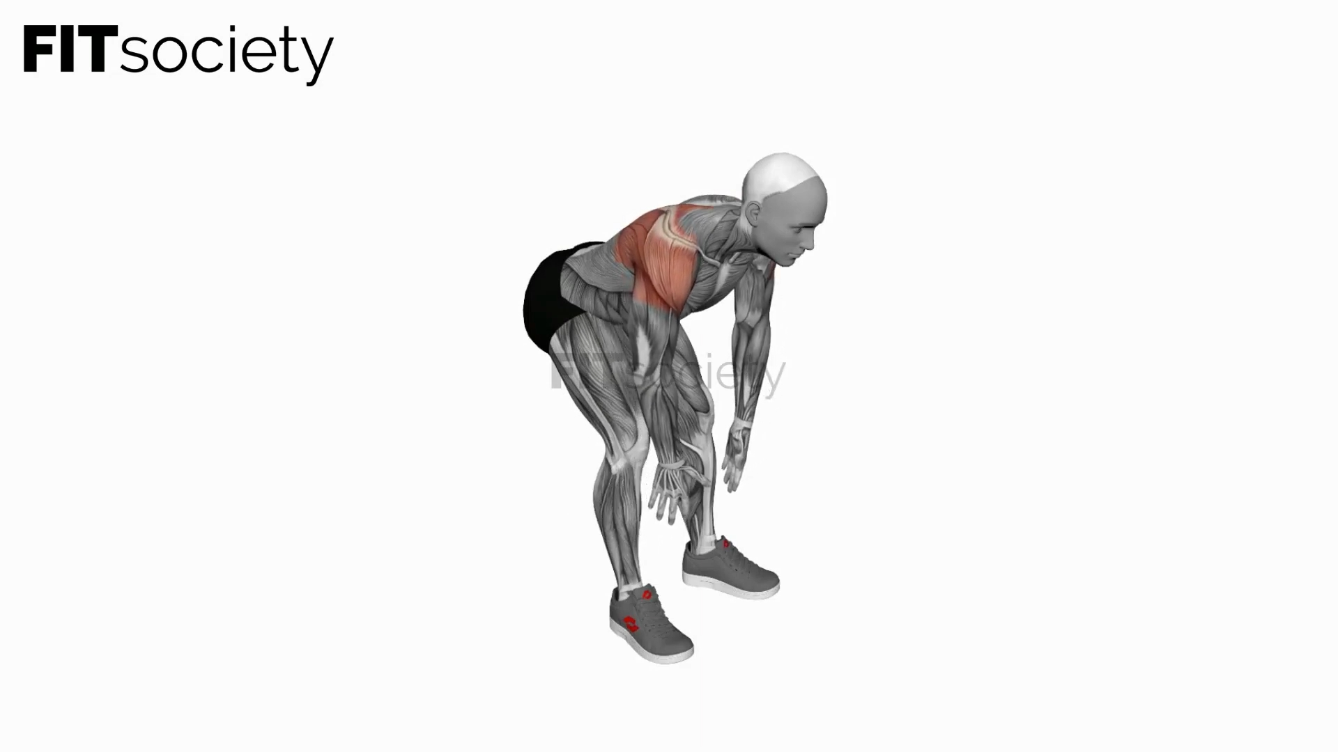 Bodyweight Bent Over Rear Delt Fly