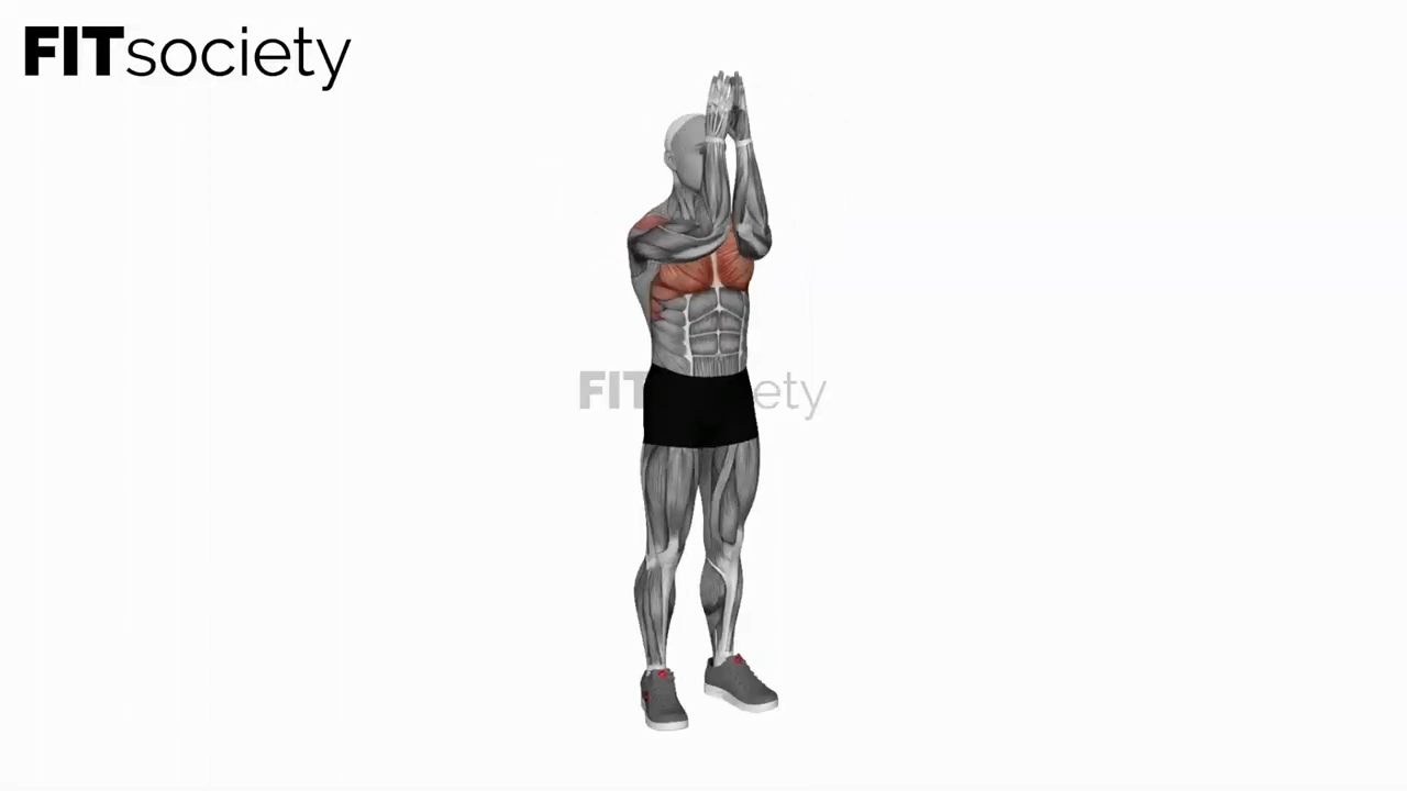 Bodyweight Standing Fly
