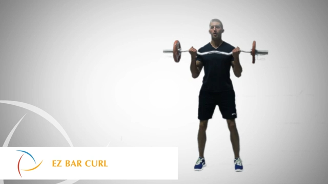 Curl avec barre EZ