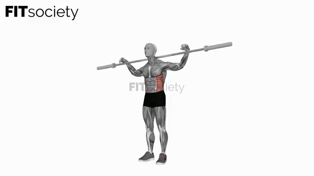 Barbell Side Bends